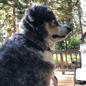 Meet your Posher, Juli